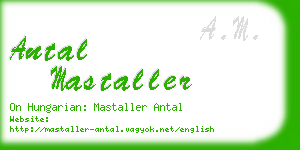 antal mastaller business card